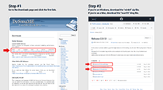 Downloading DeSmuME