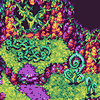 Cascade Cave