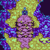 Sealed Cave