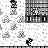 Second Town in First World